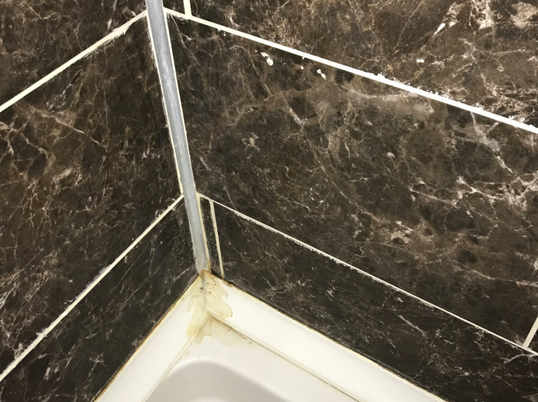 Parlak Resort Otel主图