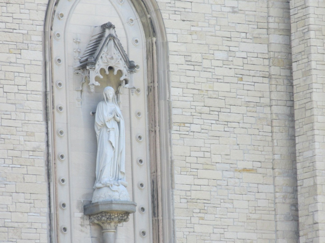 Cathedral of the Immaculate Conception-韦恩堡必去景点