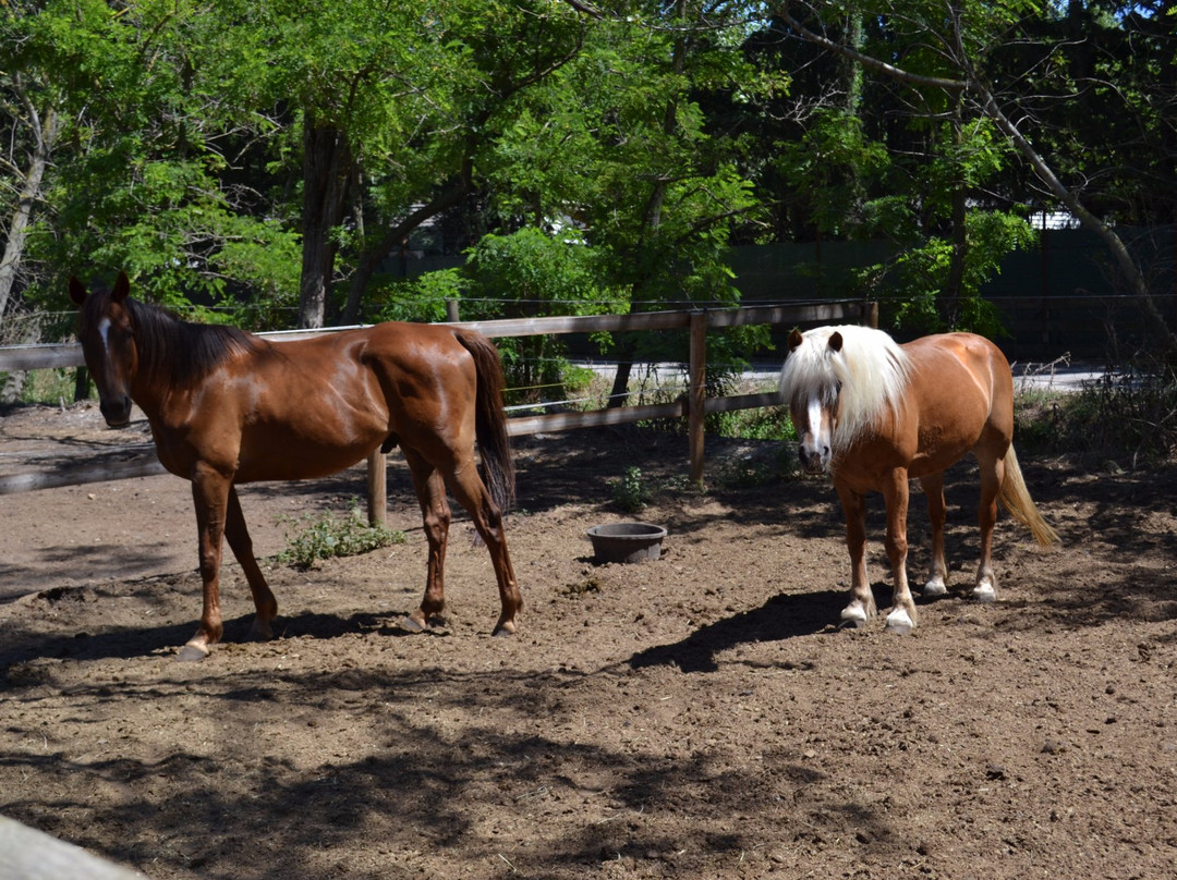 Centre équestre des Pyramides-拉格朗德默特必去景点