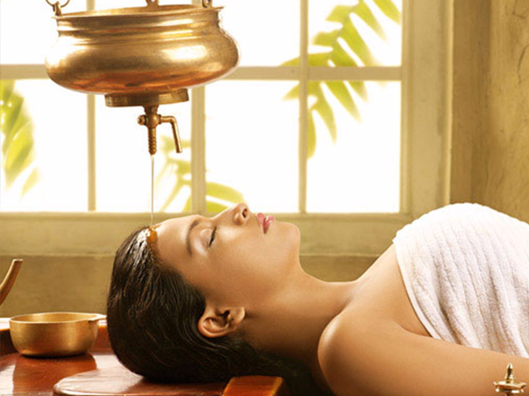 Cauvery Ayurveda Gramam景点图片
