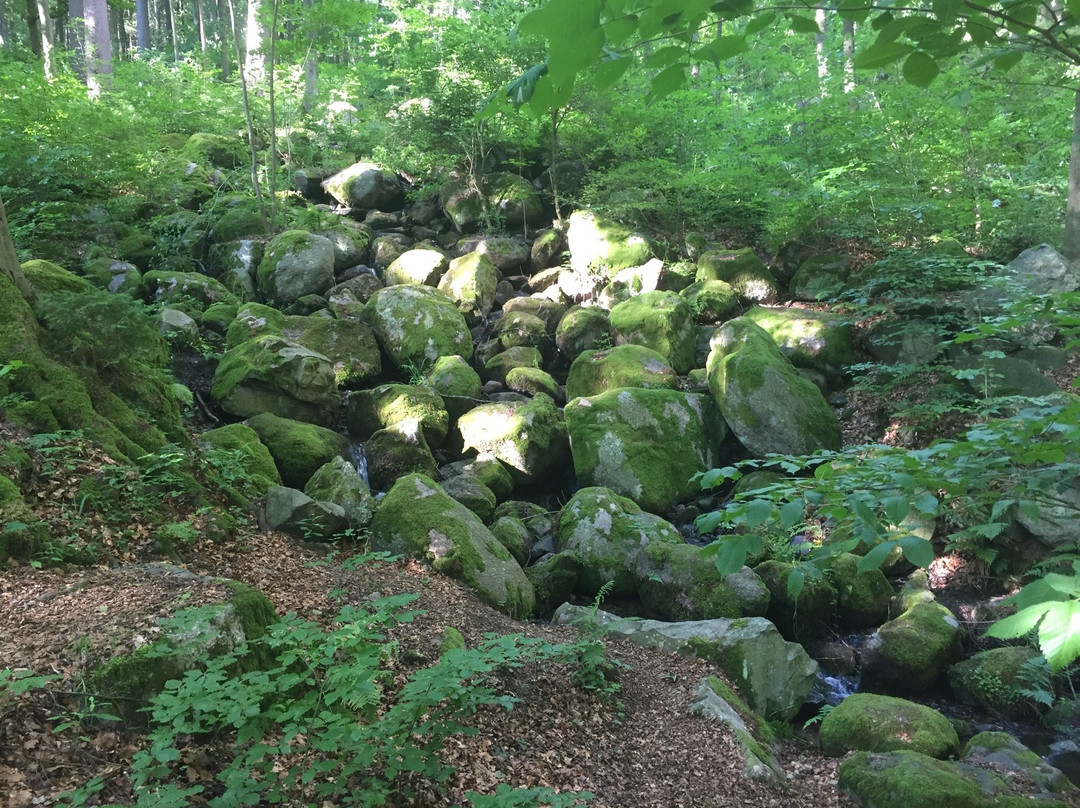 The Marianske Lazne Geological Park