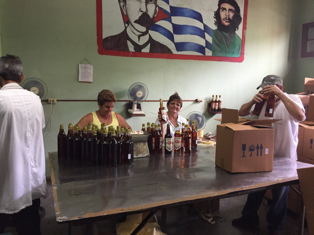 Guayabita del Pinar Liqueur Factory景点图片
