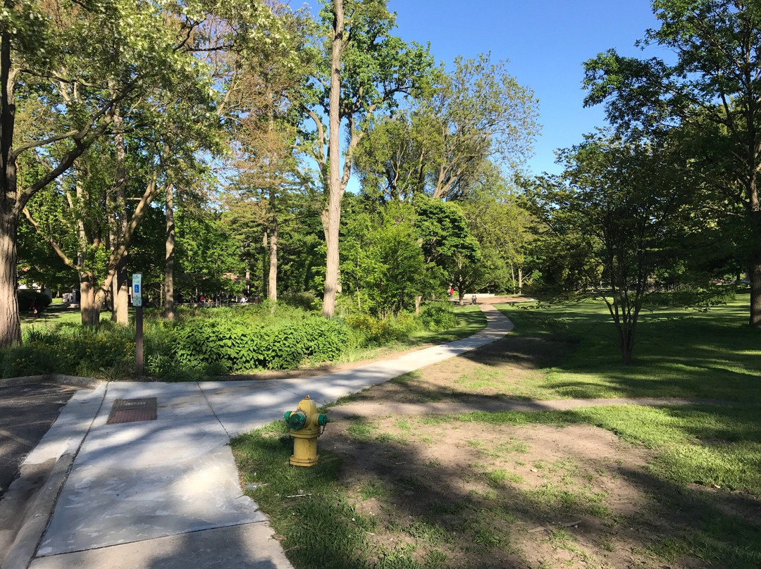Bowen Park景点图片