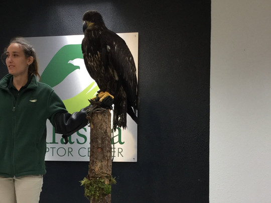 Sitka Tribal Tours-锡特卡必去景点