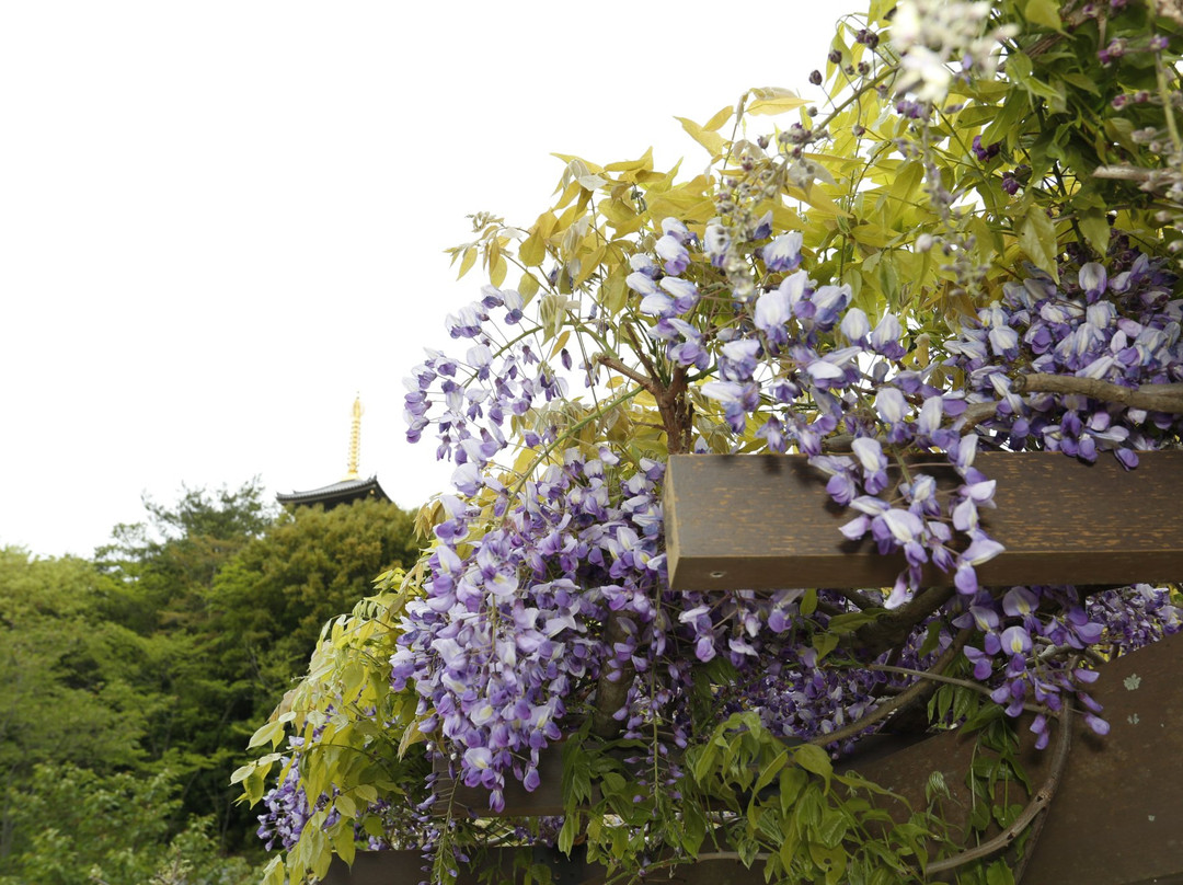 The Royal Grand Hall of Buddhism-加东市必去景点