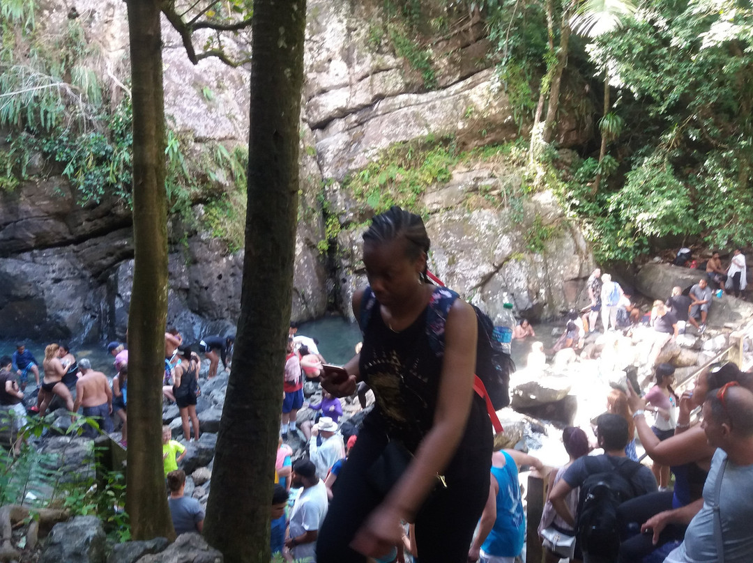 El Yunque Rainforest Corcovado Adventures-Luquillo必去景点