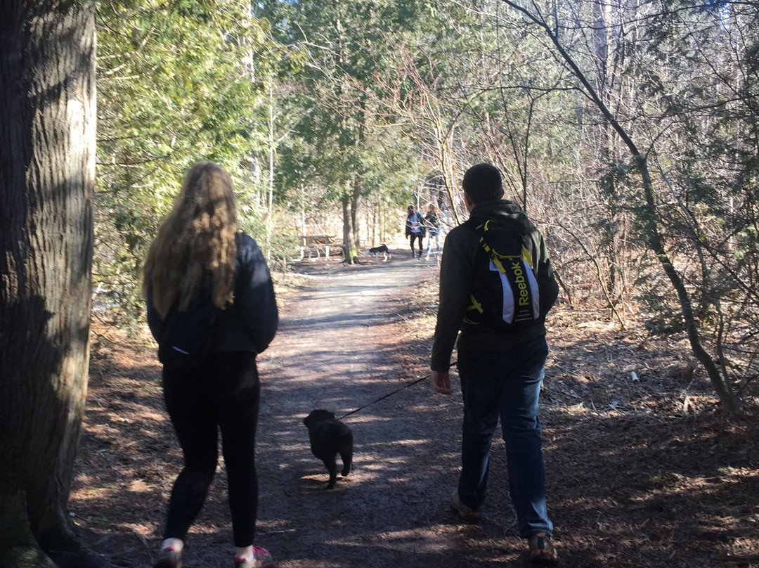 Heber Down Conservation Area-Whitby必去景点