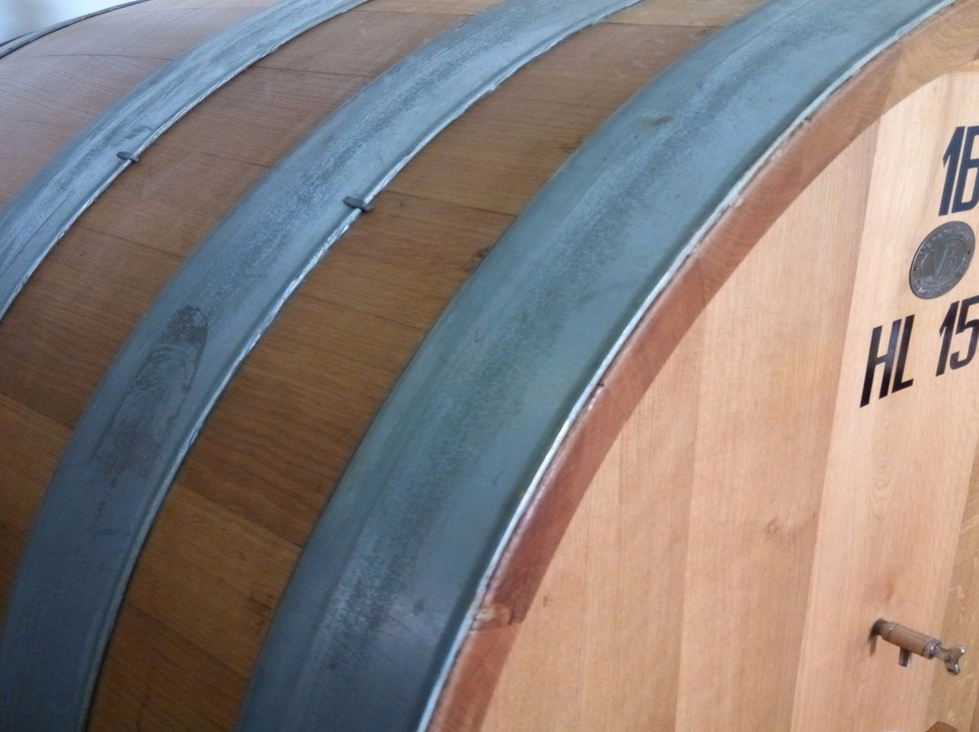 Cantina Nani 1967 - Tenuta Castello di Rubaro景点图片