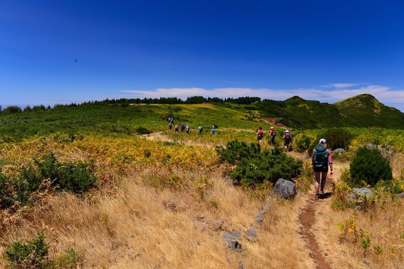 Madeira Wandern mit Christa