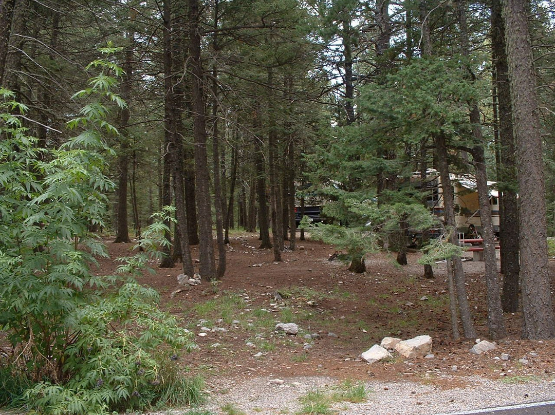 Saddle Campground
