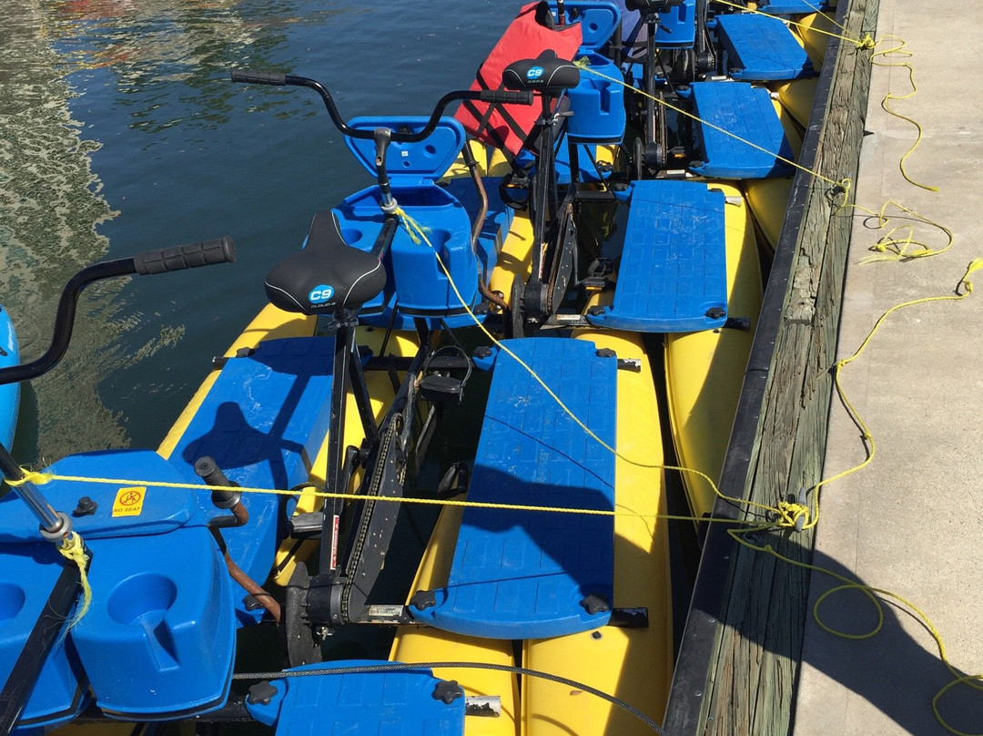 Tampa Bay Water Bike Company-坦帕必去景点