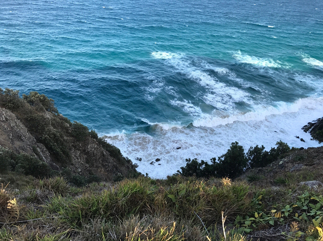 Cape Byron State Conservation Area景点图片