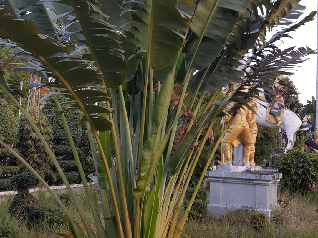Damrei Sa Pagoda-马德望必去景点