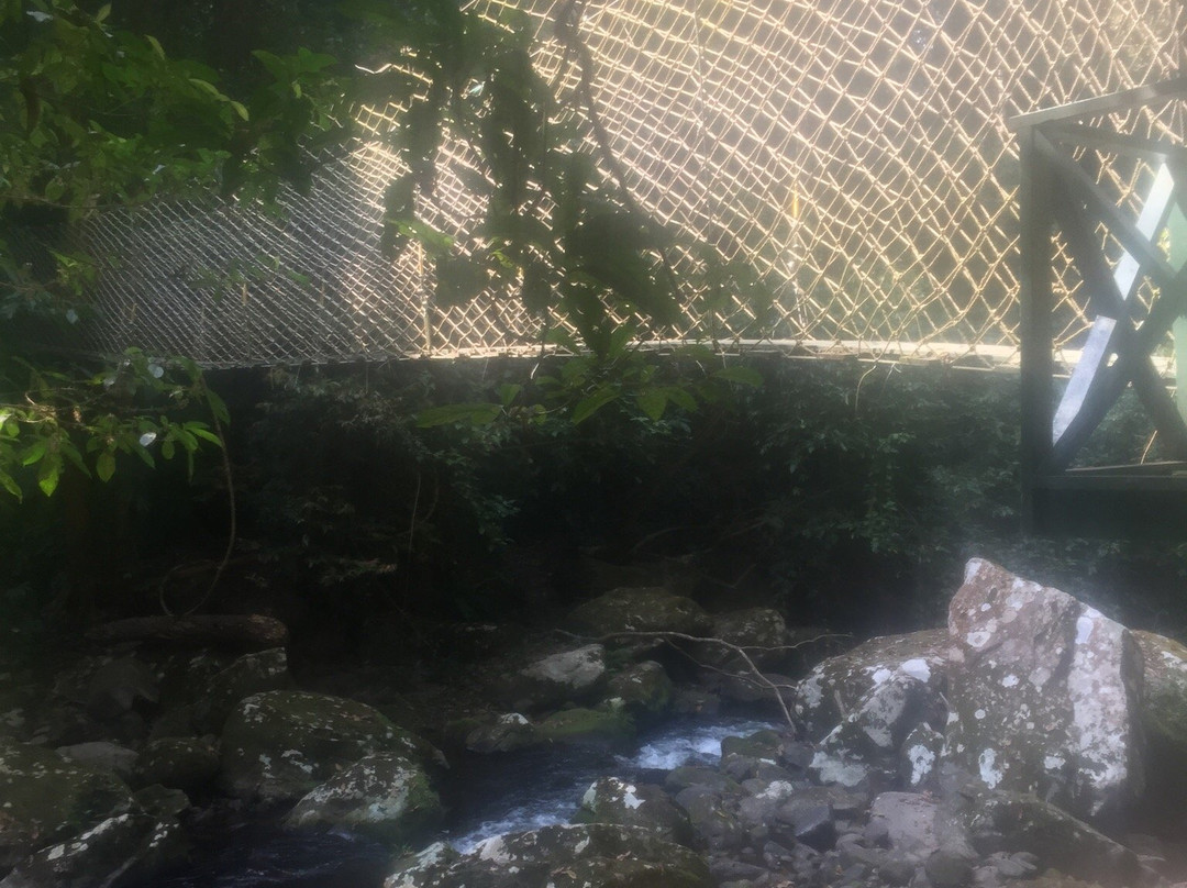 Nam Kat Waterfall景点图片