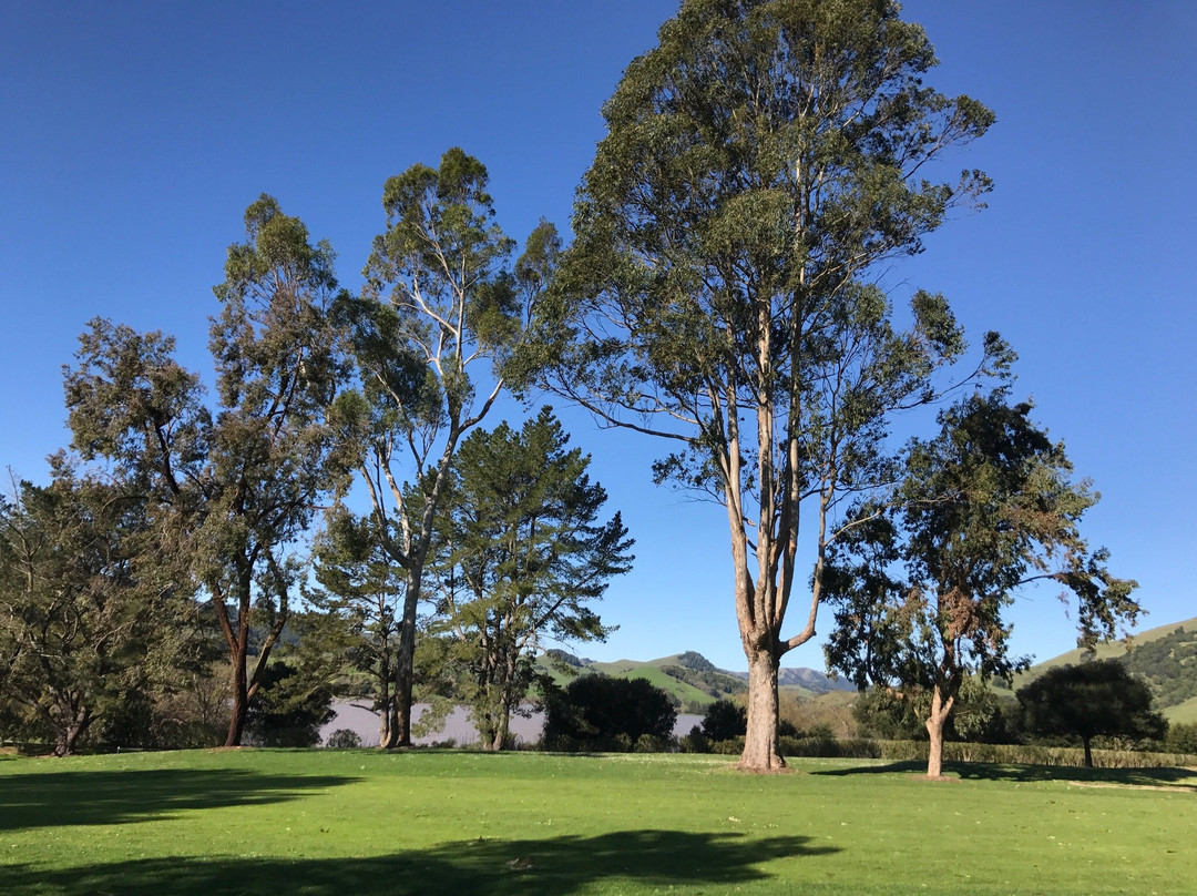 印度谷高尔夫球场-Novato必去景点