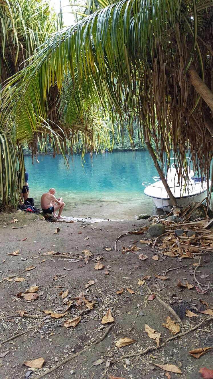 Star San Villa-泳池