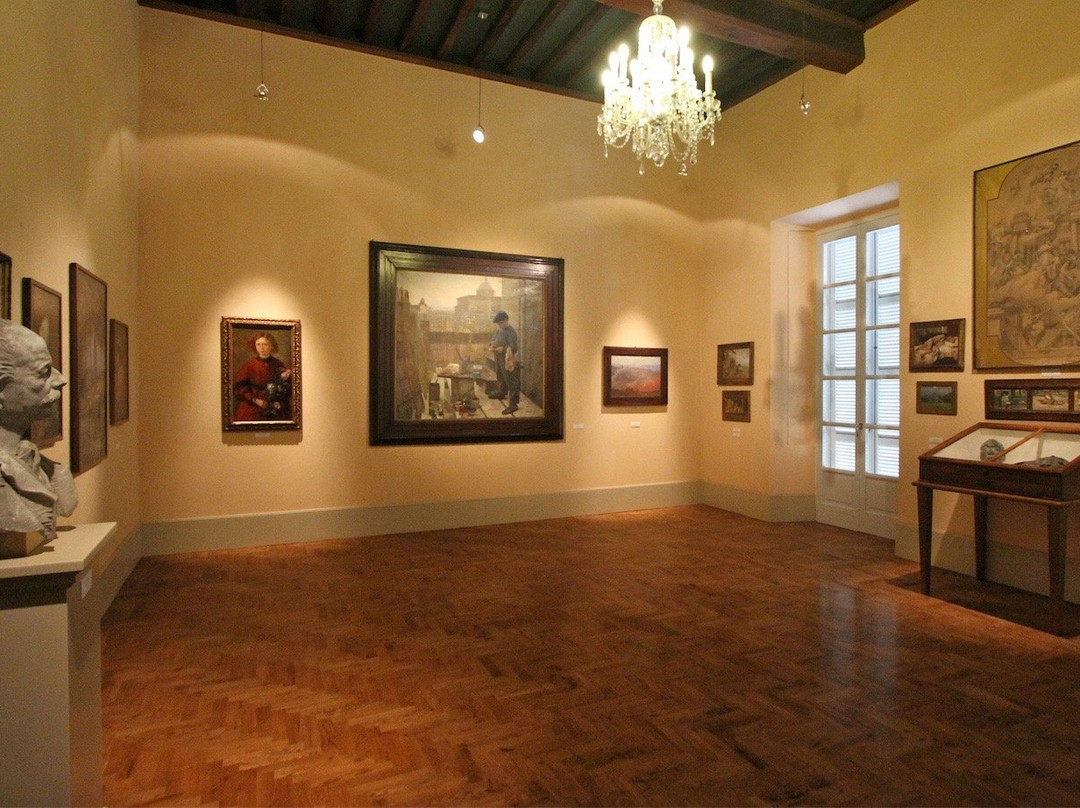 Museo Diotti景点图片