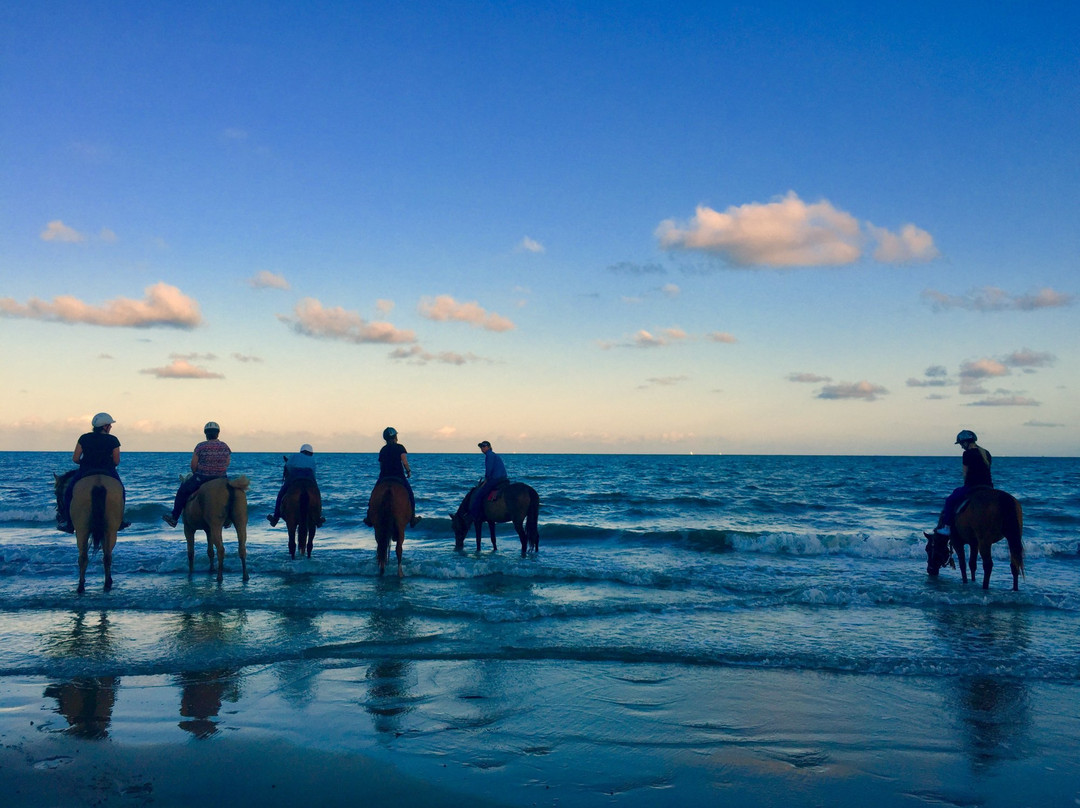 Ride the Beach Adventures-道格拉斯港必去景点