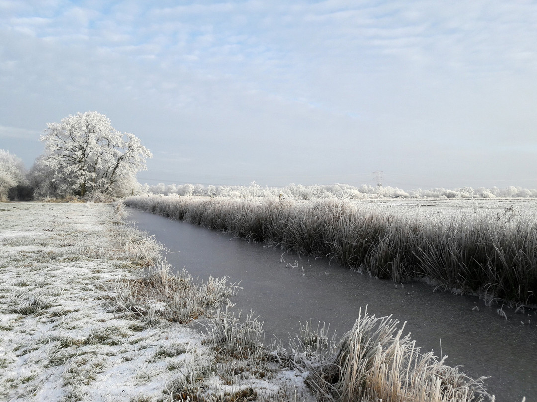Opende旅游攻略图片