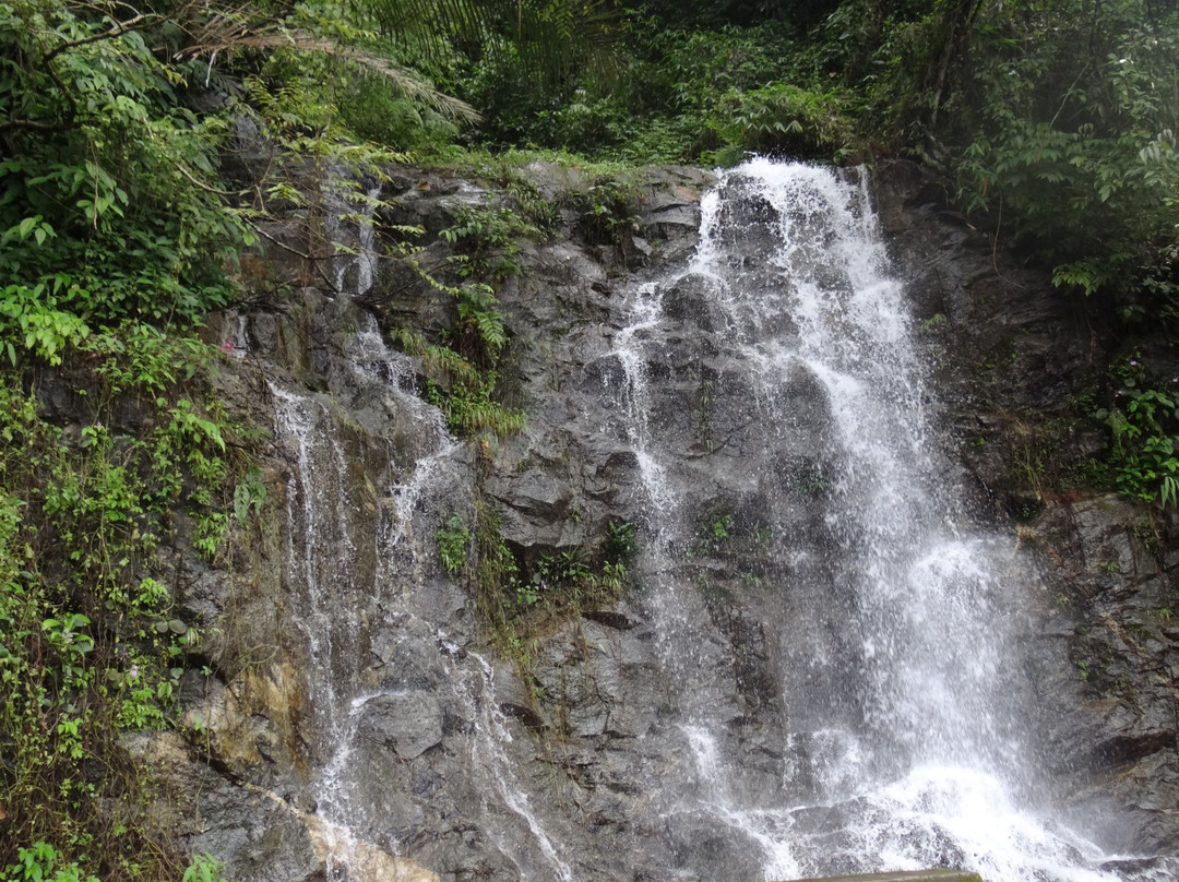Kozhikode District旅游攻略图片