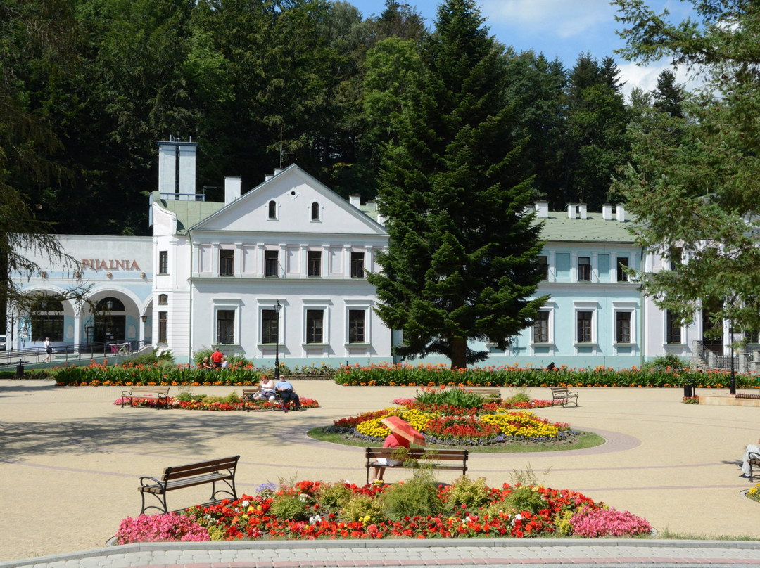 Iwonicz Zdroj旅游攻略图片