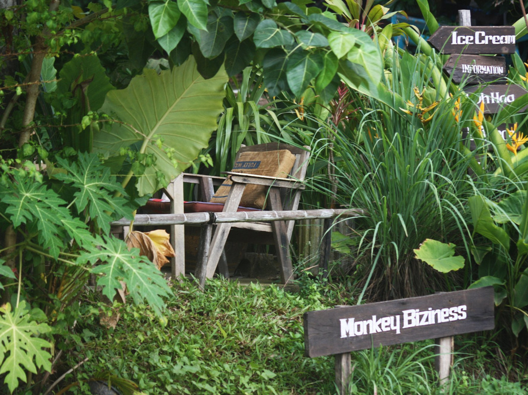 มังกี้ บิสิเนส คาเฟ่ เกาะลันตา主图