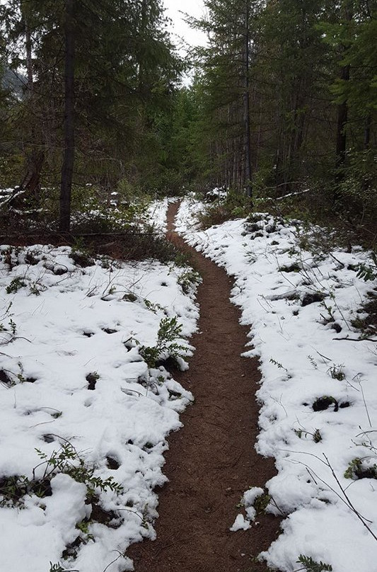 Falls Creek Falls Trail Head景点图片