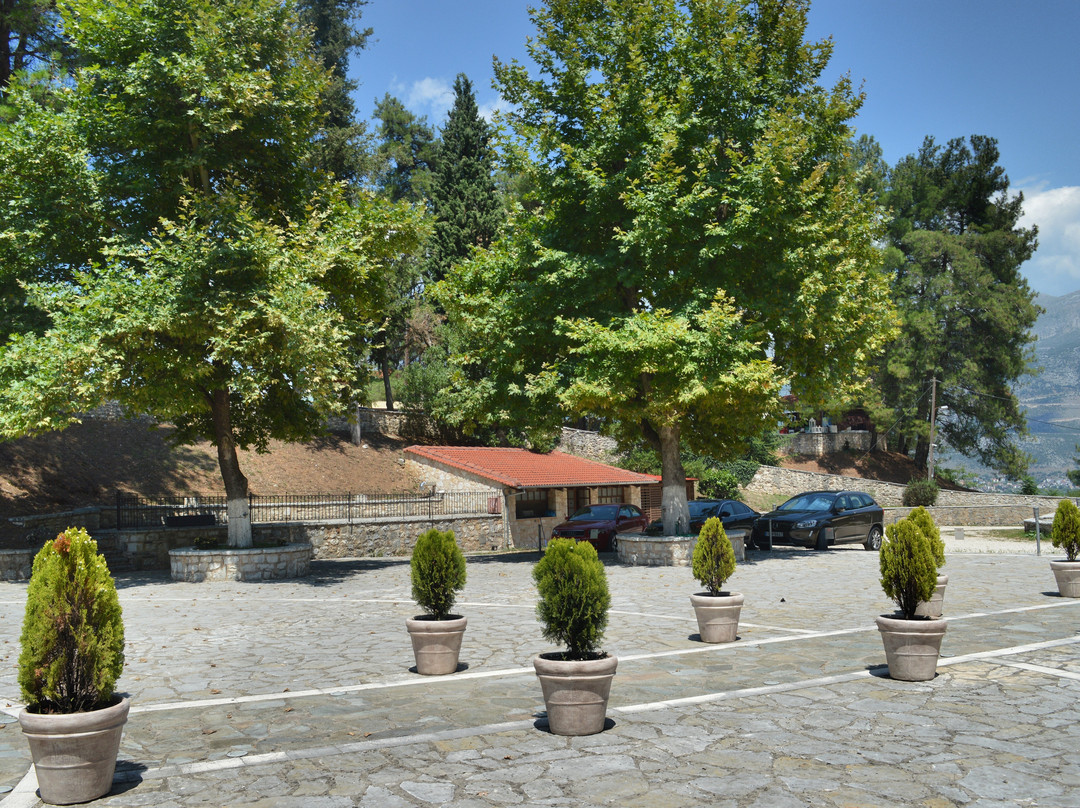 Frontzu Politia主图