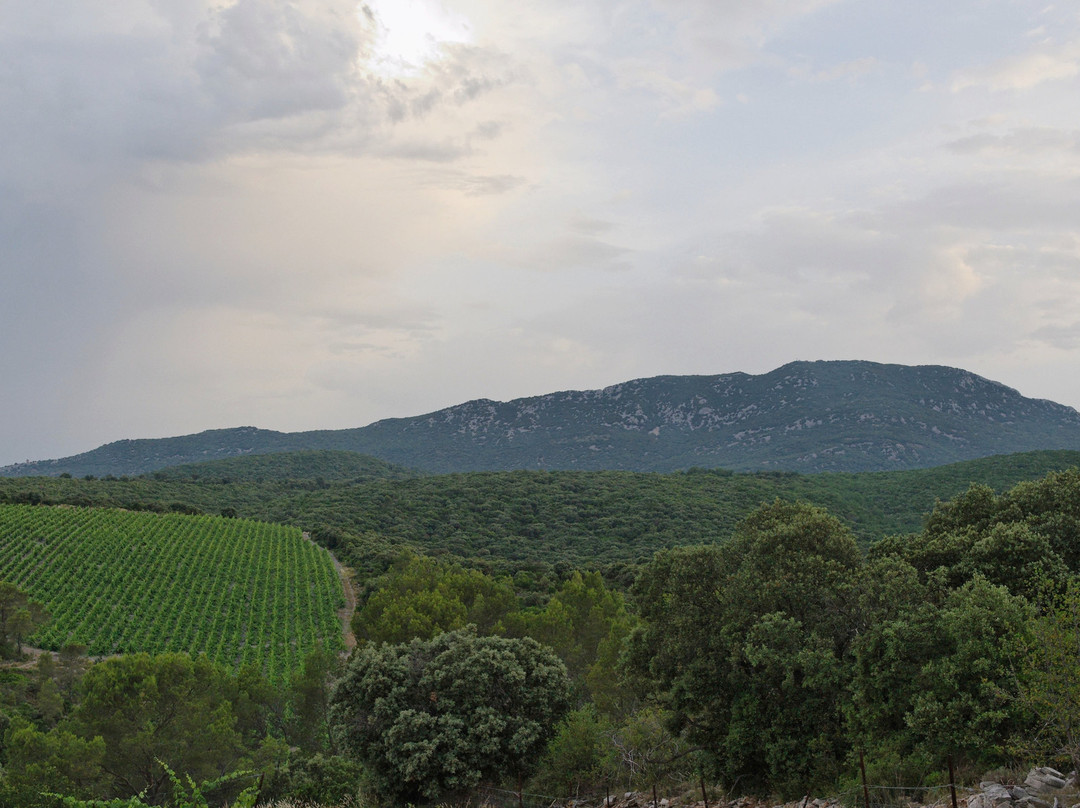 Domaine Haut-Lirou-Le Triadou必去景点