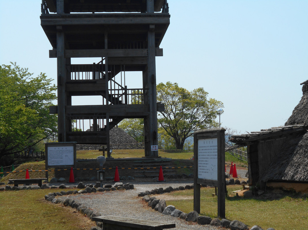 Hill of Hoki Kodai Park景点图片