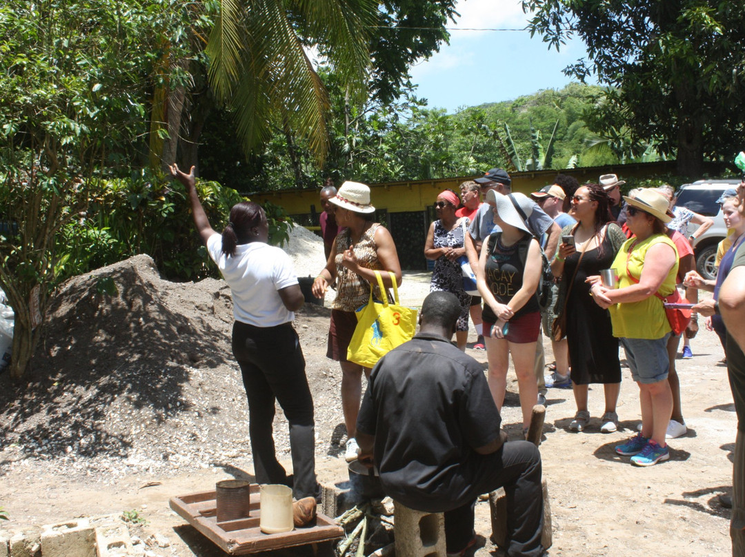 John's Hall Adventure Tours-蒙特戈贝必去景点