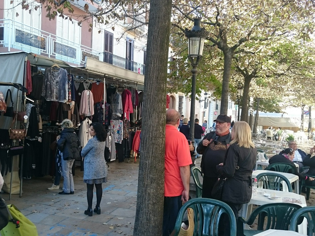 Placa de Jaume I景点图片