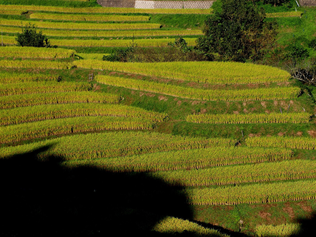 Shimoakasaka Tanada-千早赤阪村必去景点