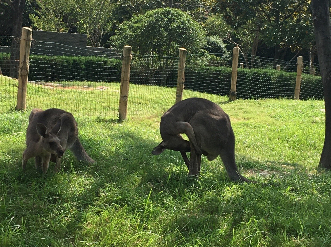 茱萸湾-扬州市必去景点