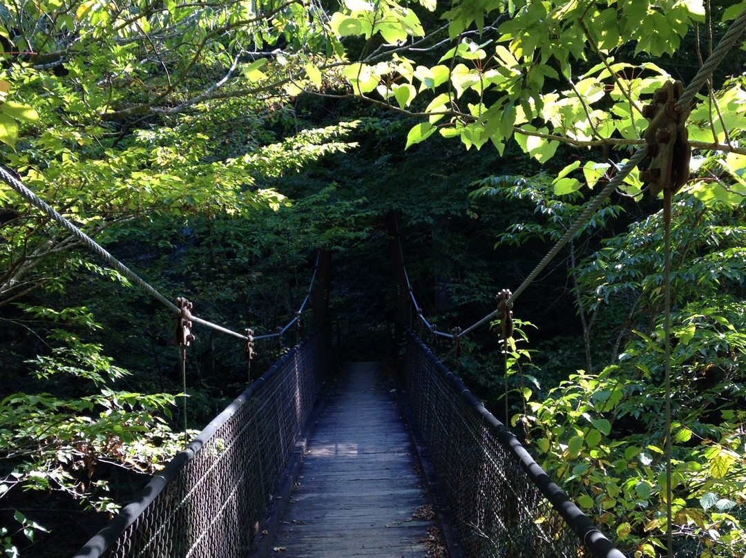 Ryushun Fall-那须盐原市必去景点