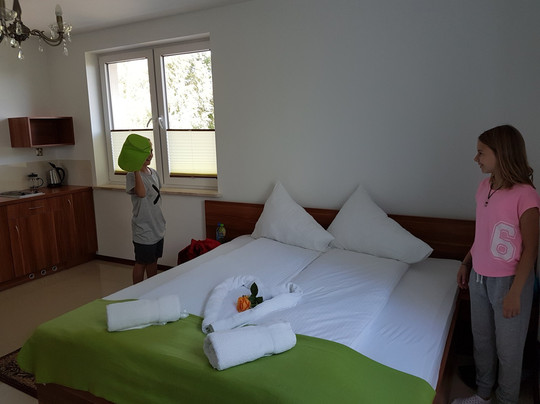 Chlopy酒店住宿-Willa Zlota Róża