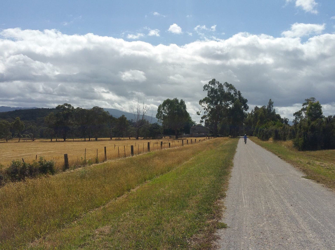 Lilydale to Warburton Rail Trail景点图片