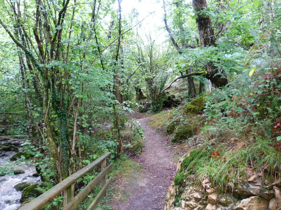 Ruta del Beyu Pen-Amieva必去景点