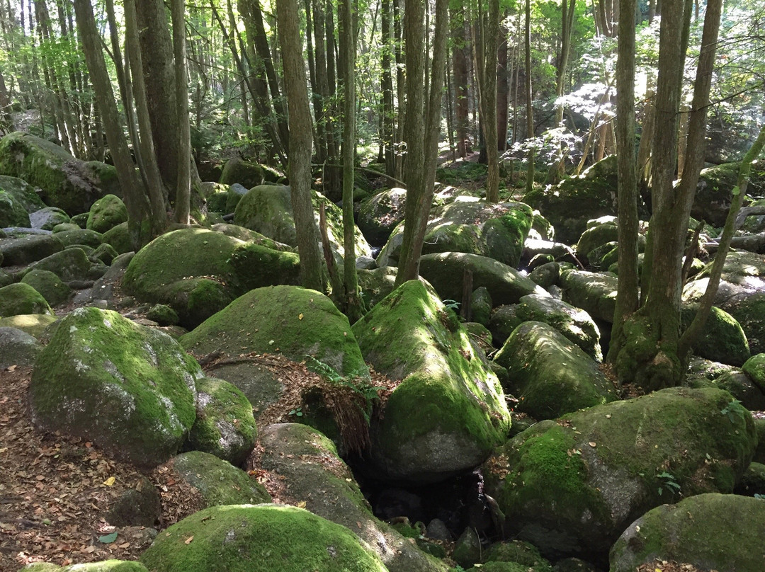 Naturschutzgebiet Hölle-Rettenbach必去景点