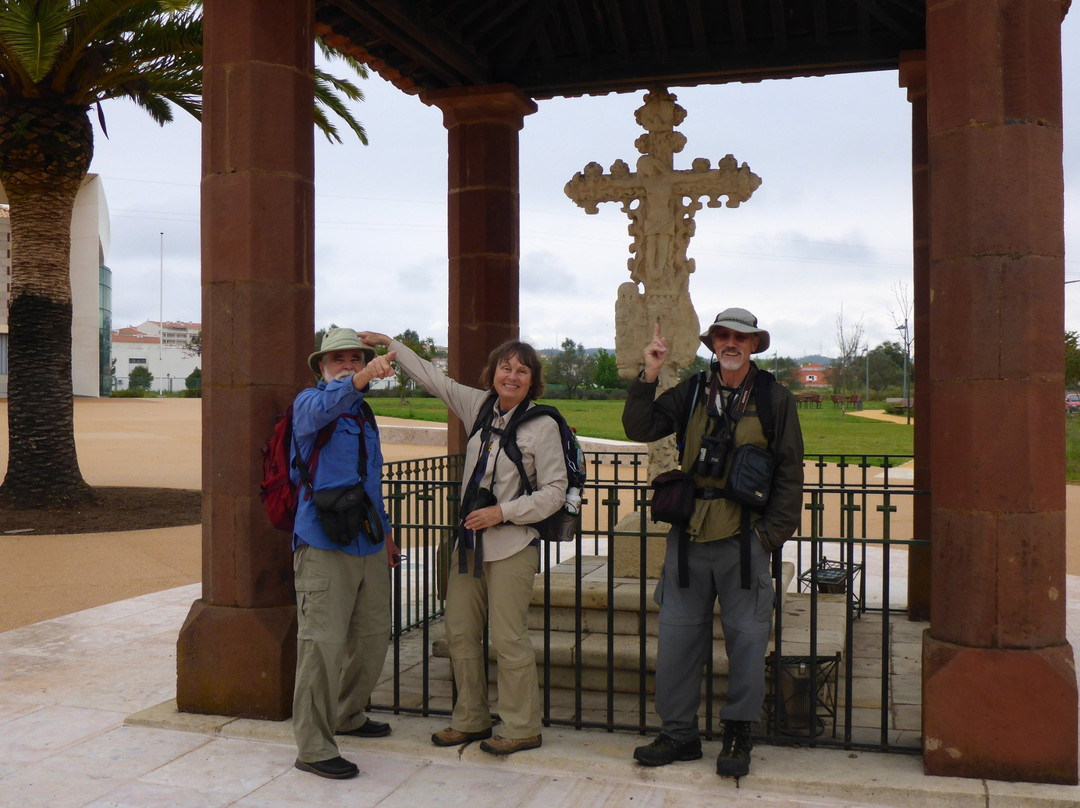 Portugal Walks景点图片
