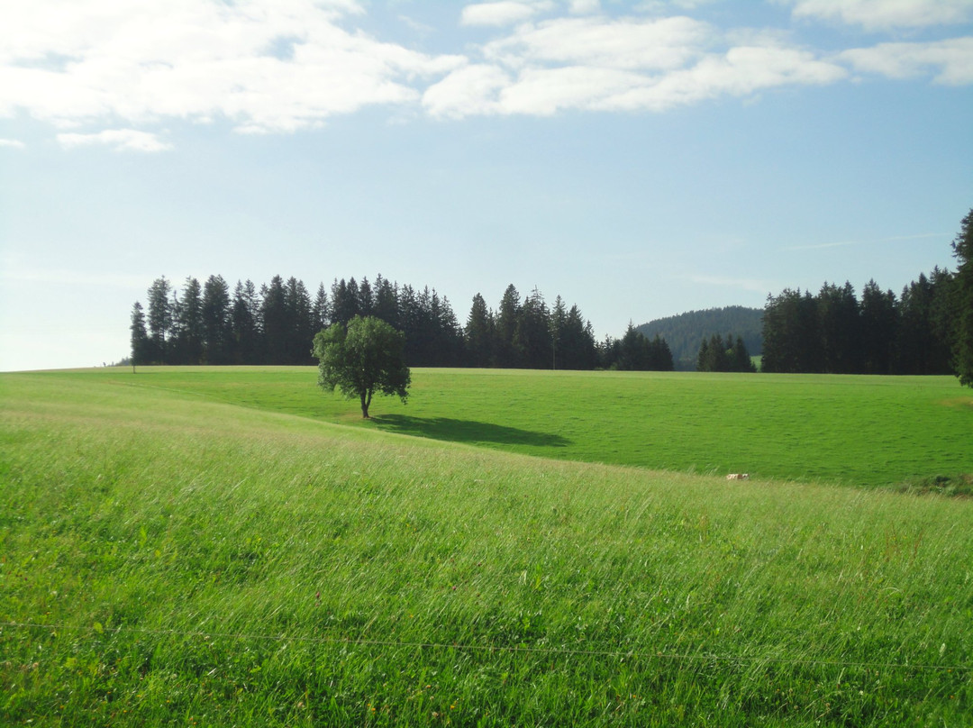 Landhotel Thalerhausle Ochsen主图