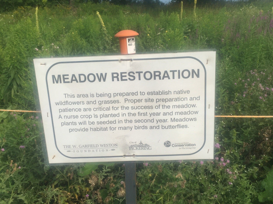 Petticoat Creek Conservation Park-Pickering必去景点