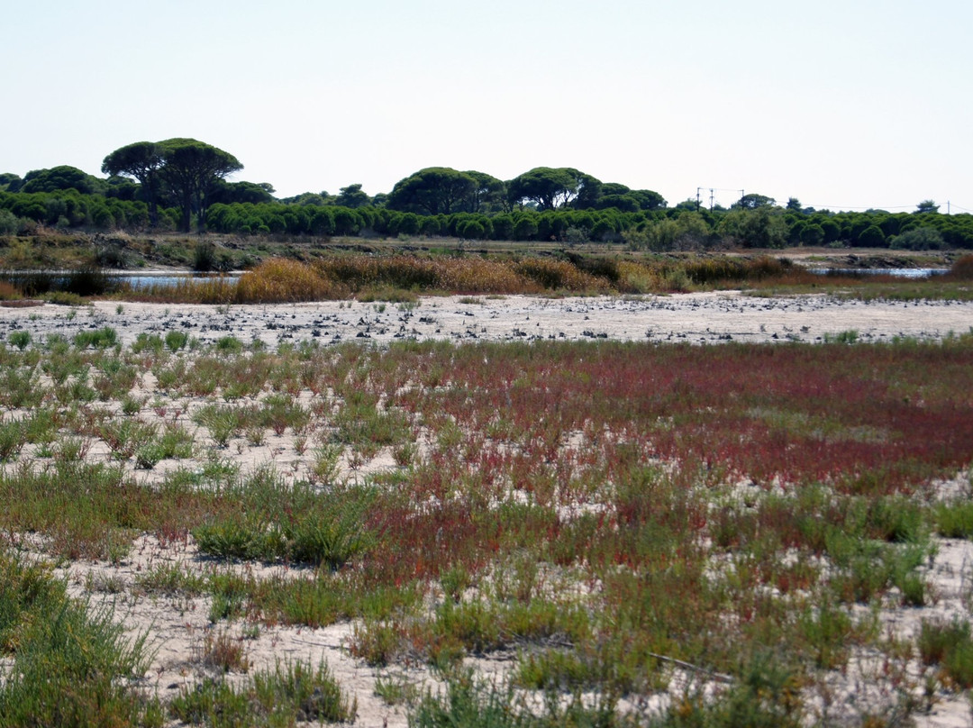 Viotopos Dasous Strofilias-Kalogria必去景点