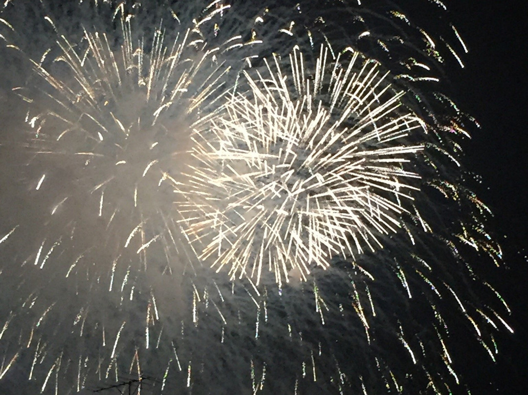 Nishio Yonezu River Festival-西尾市必去景点