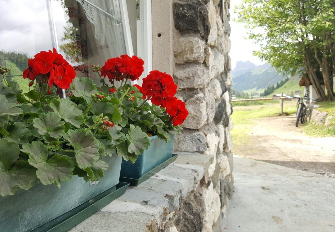 Rifugio Micheluzzi Restaurant