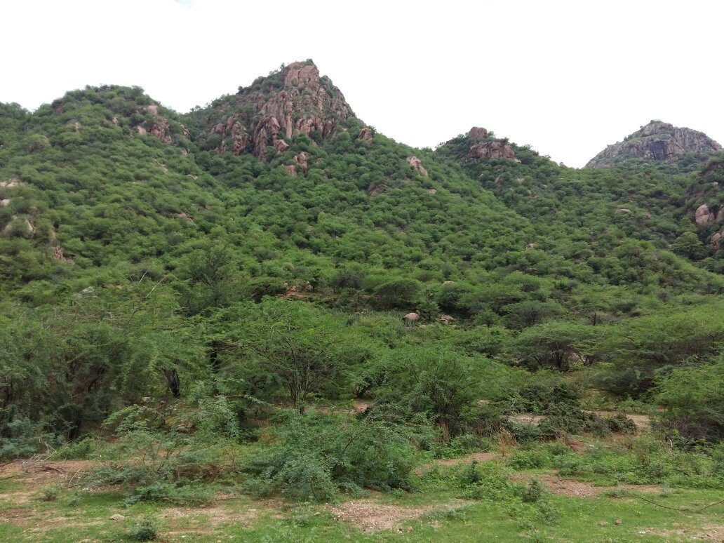 Mirpur Temple-Sirohi必去景点