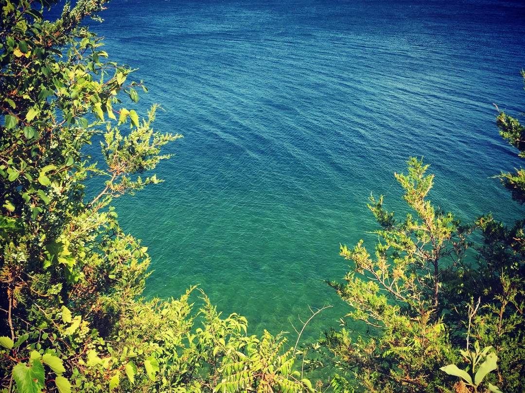 Little Bluff Conservation Area景点图片