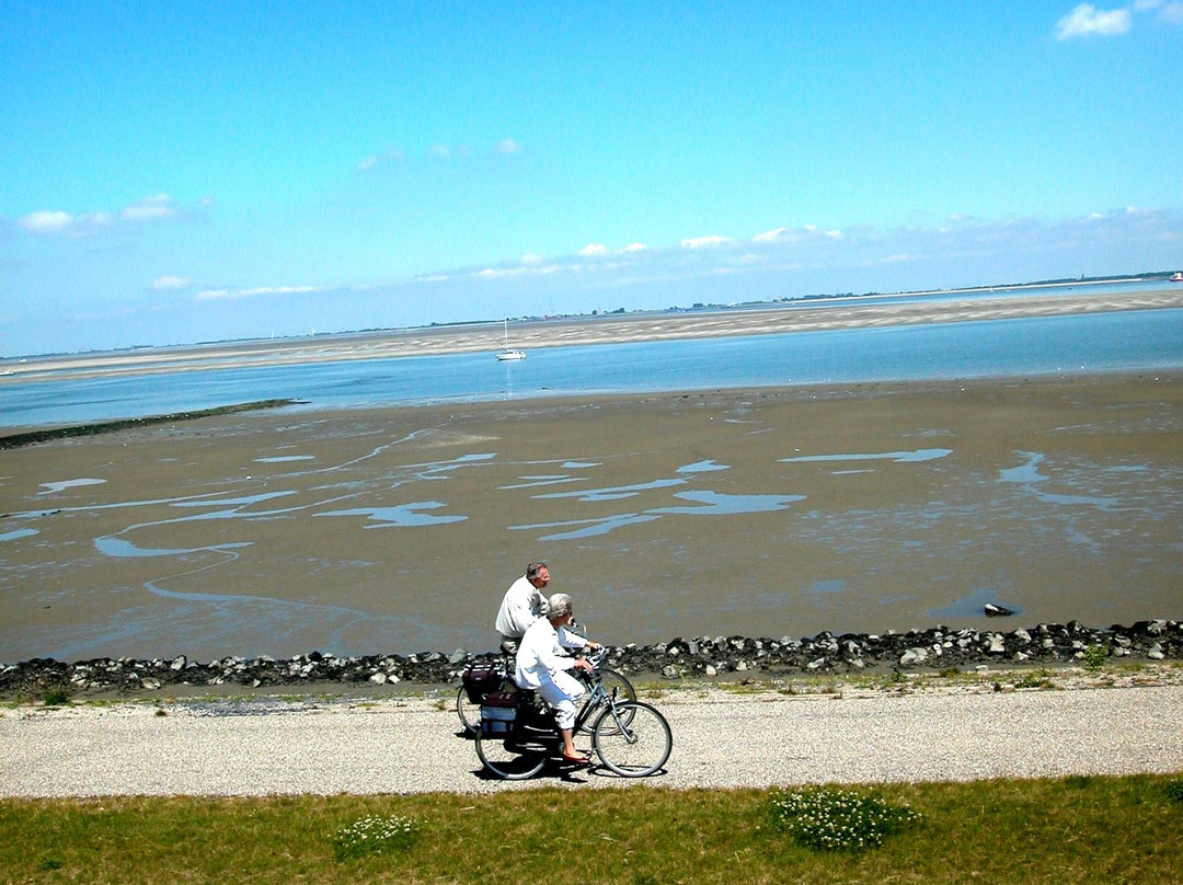 Walsoorden旅游攻略图片