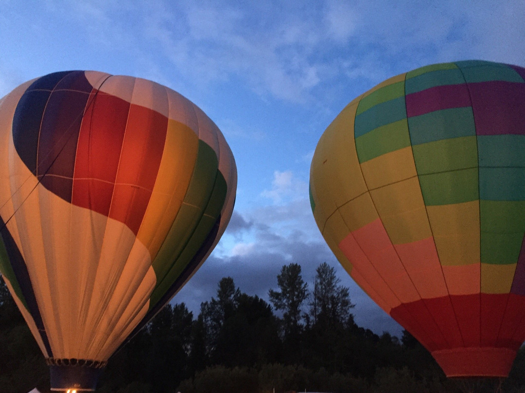 Cook Park-泰格德必去景点