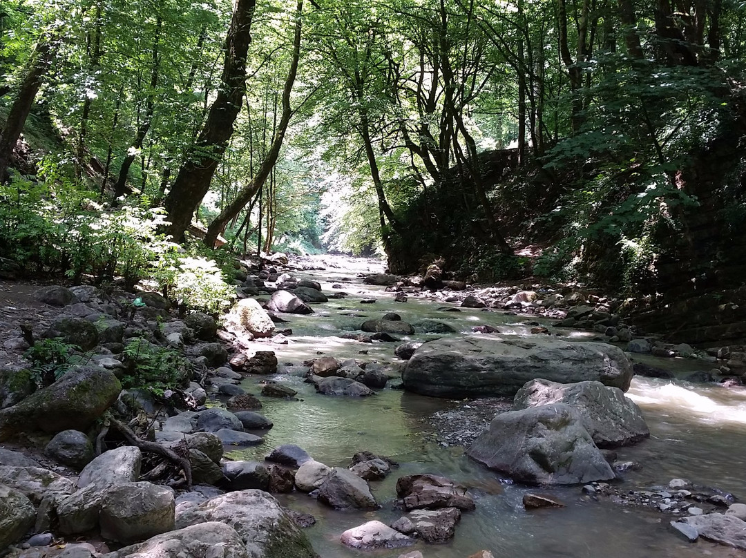Visadar Waterfall景点图片
